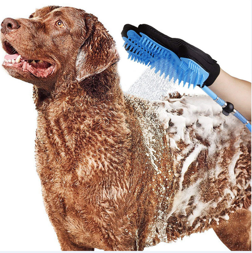 Pommeau de douche pour chien et chat