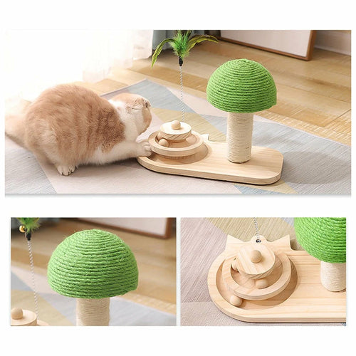 Arbre a chat