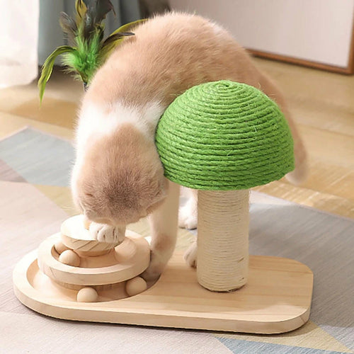 Arbre a chat